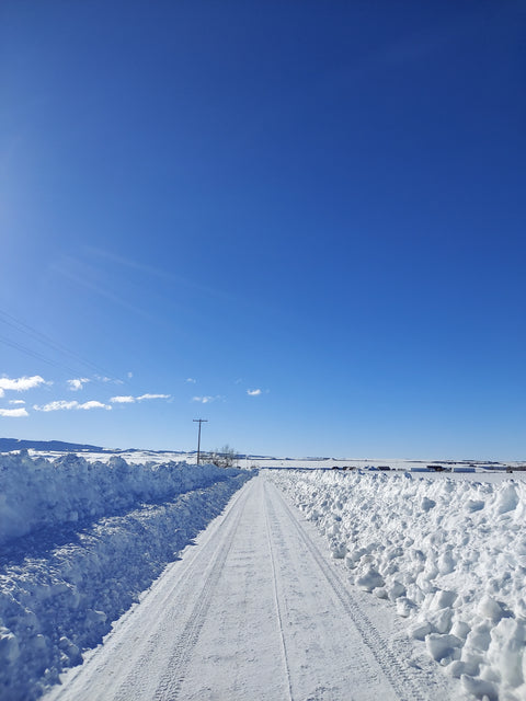 A Big Winter in the Tetons! - Jackson Hole Buffalo Meat