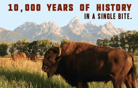 WHERE CAN I FIND BUFFALO MEAT FOR SALE? - Jackson Hole Buffalo Meat