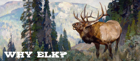 WHY ELK? - Jackson Hole Buffalo Meat