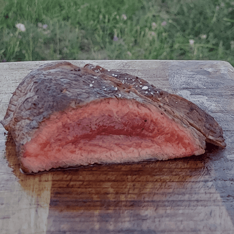 Elk Tri Tip