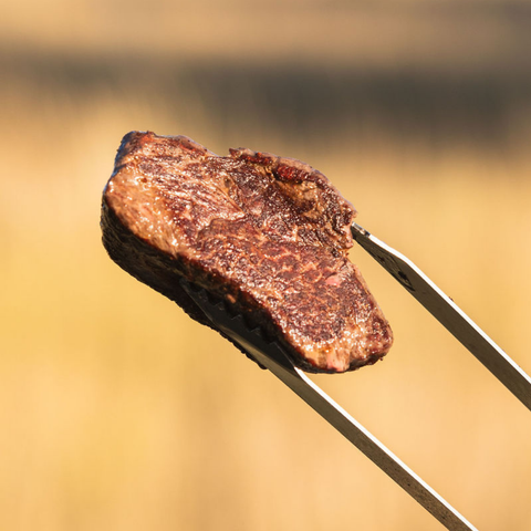 Elk Sirloin