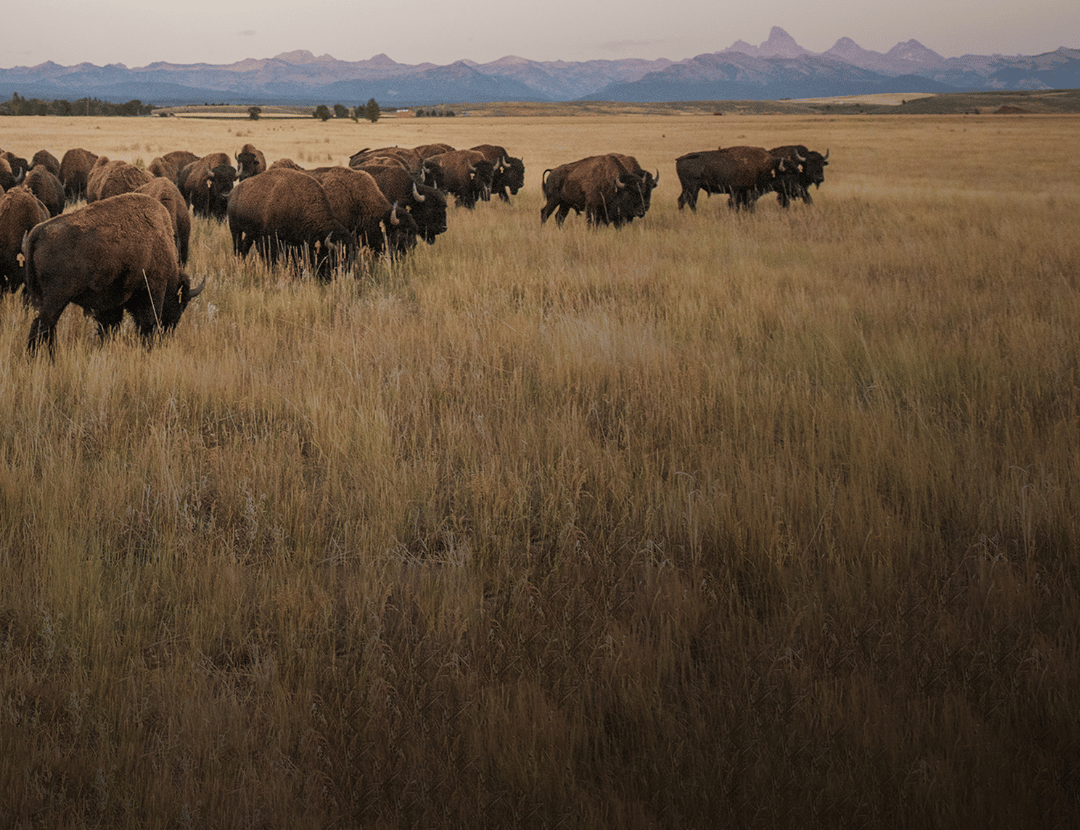 custom-slideshow-image-mobile-block_jNtEf7