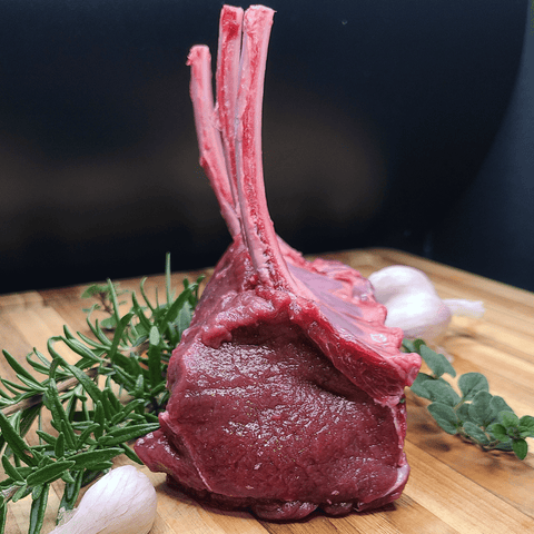 Elk Frenched Rack - Jackson Hole Buffalo Meat