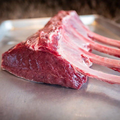 Elk Frenched Rack - Jackson Hole Buffalo Meat
