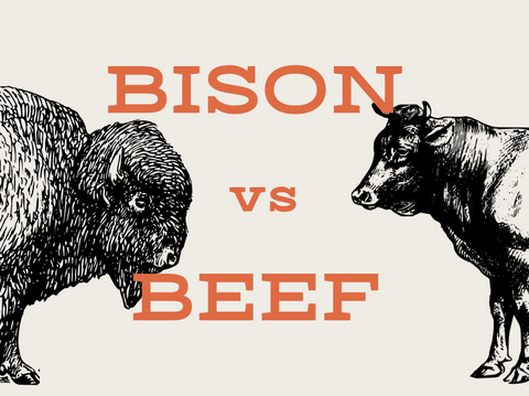 Better Than Beef?  Exploring the Health Benefits of Bison Meat