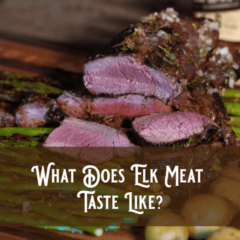 WHAT DOES ELK MEAT TASTE LIKE?