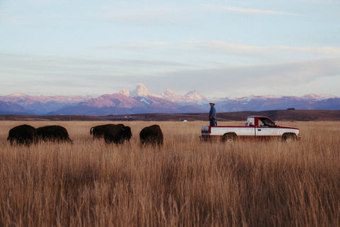 Home of Americas Finest Buffalo & Elk Meat