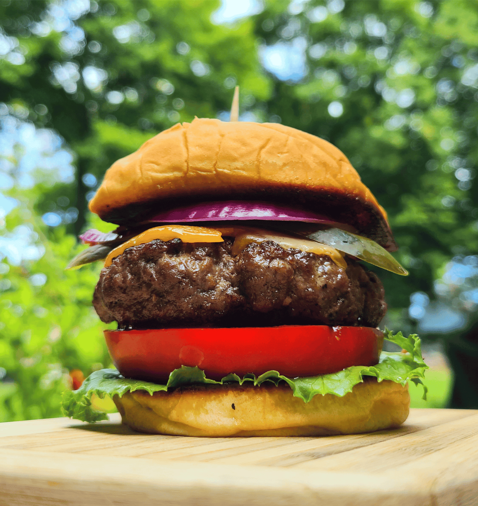 Bison Burger Patties for Sale 100 North American Ground Bison Meat