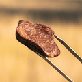 Elk Sirloin (8oz Single) - Jackson Hole Buffalo Meat